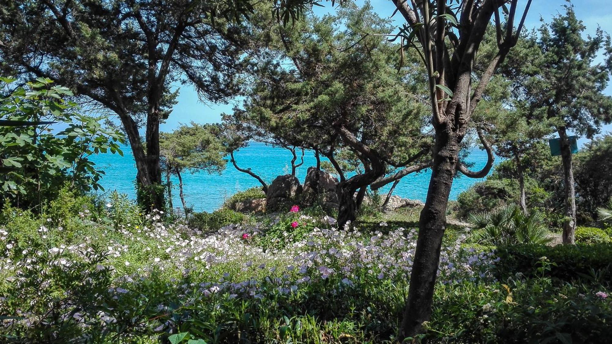 B&B Giglio Di Mare Cala Liberotto Exterior foto